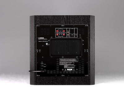 Yamaha yst sw 300 sales